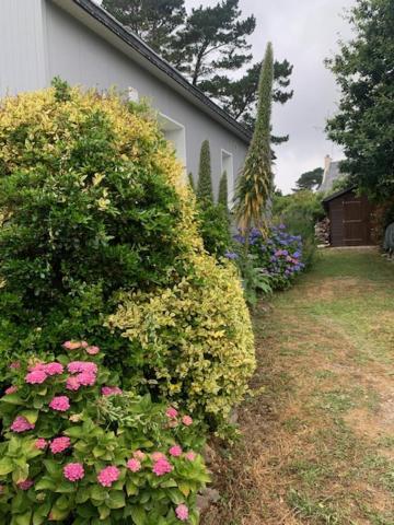 Maison 400M De La Plage クロゾン エクステリア 写真